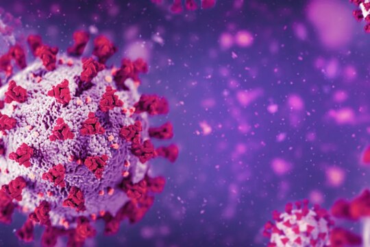 The Common Cold Could Offer Temporary Protection Against COVID