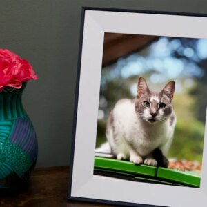 Aura’s latest, gift-worthy digital photo frame is $30 off for Black Friday