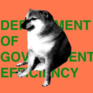 DOGE is no more, and in its wake, only chaos