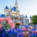 An image of Disneyland castle in the background with pink and blue flowers in the foreground.
