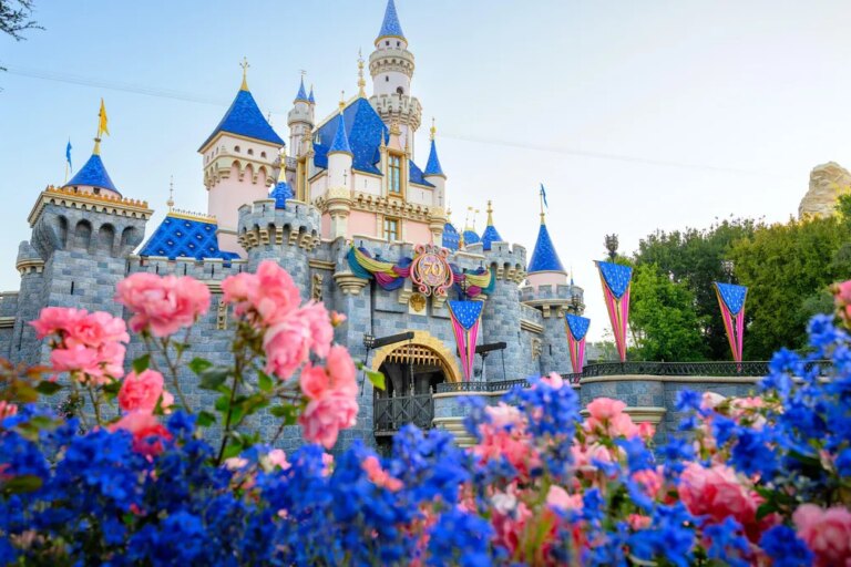 An image of Disneyland castle in the background with pink and blue flowers in the foreground.