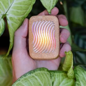 12 Best Gifts for Plant Lovers: Tech Edition