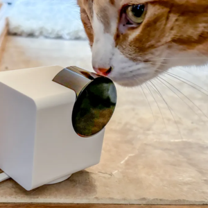 Best Home Pet Cameras of 2026: Watch From Anywhere