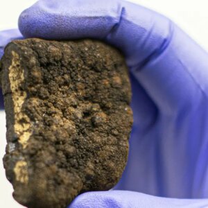 Trump is steamrolling global calls for a moratorium on deep sea mining