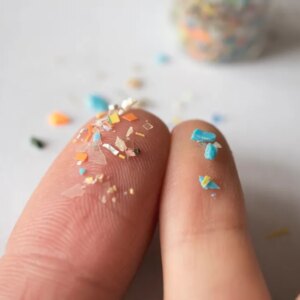 Want to Avoid Microplastics in Food? We Found the 8 Most Common Foods That Contain Microplastics