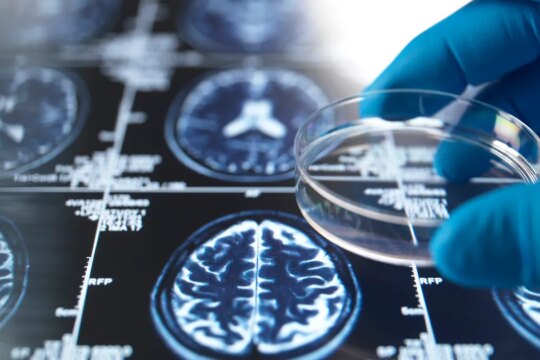 Study Finds Babysitting Grandchildren May Improve Brain Health