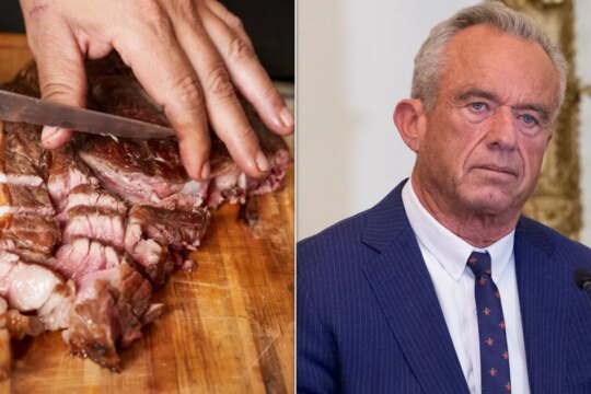 RFK Jr. Spouts Unproven Idea That Keto Diet Can 'Cure' Schizophrenia