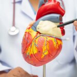 Heart Disease Awareness: This Is Why You Should Get Screened at Any Age